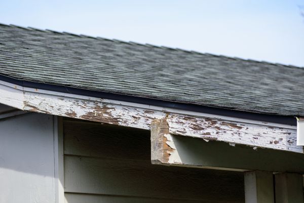 Cleveland Wood Rot Repair