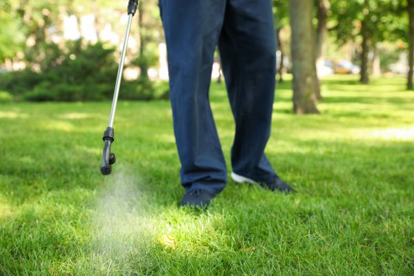 Cleveland Lawn Treatment