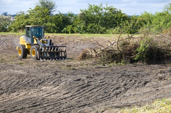 Cleveland Land Clearing